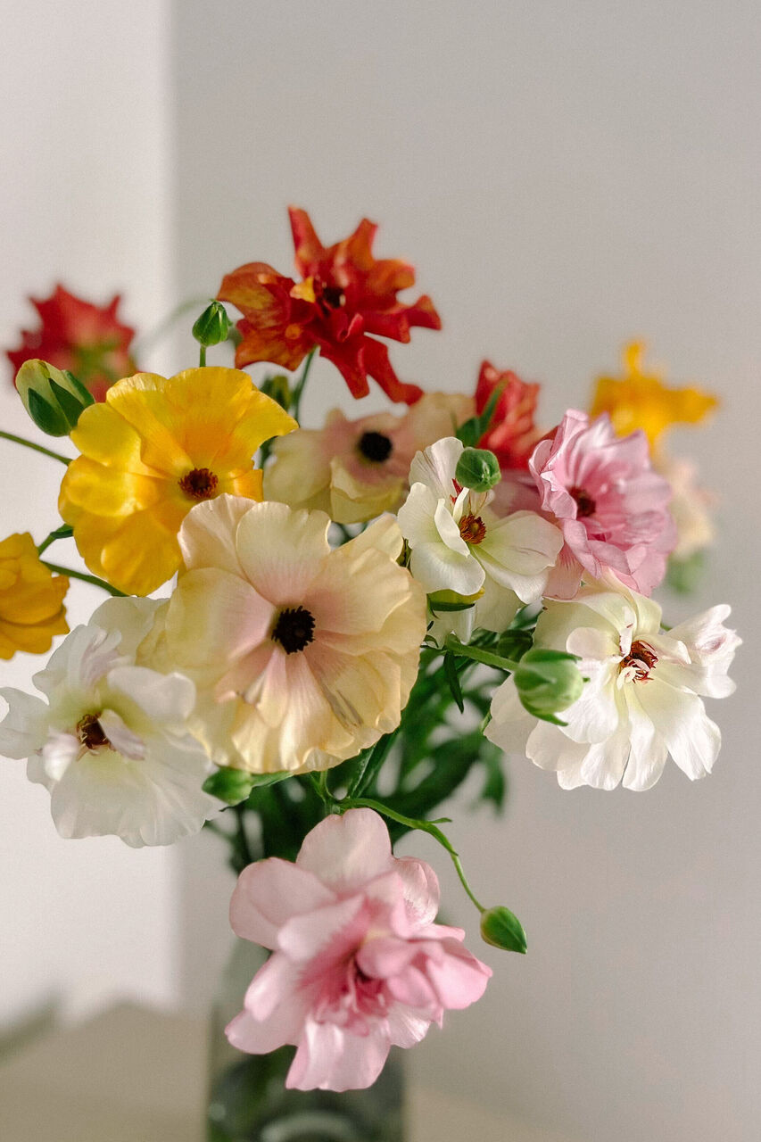 クリーム色 ラナンキュラス アートフラワー　34せたット クリーム色 ラナンキュラス アートフラワー 34せたット