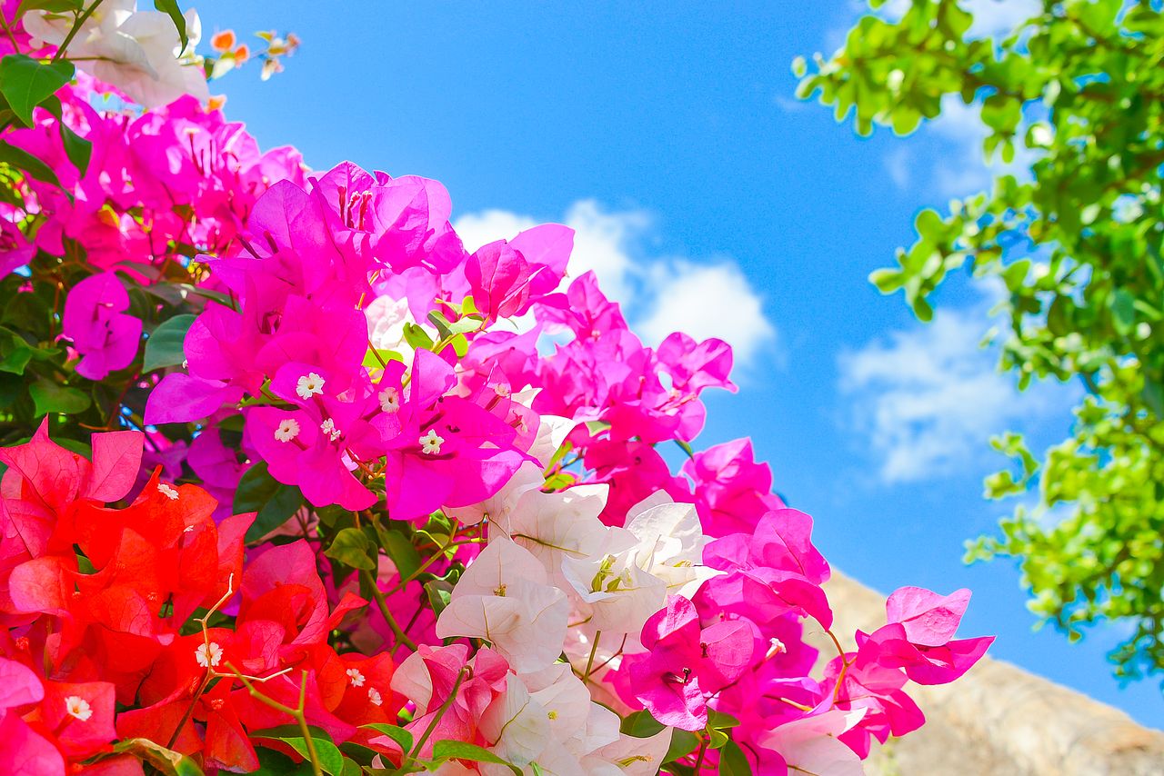 large_22064d23-8fa3-457f-a537-