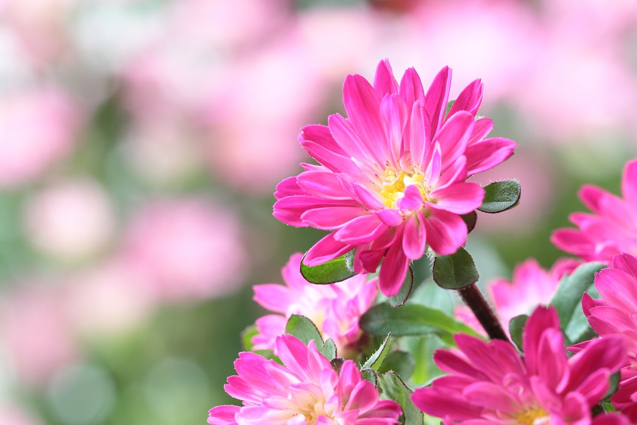 BX235QC様おまとめ11点 BX235QC様 おまとめ9点 BX235QC様おまとめ