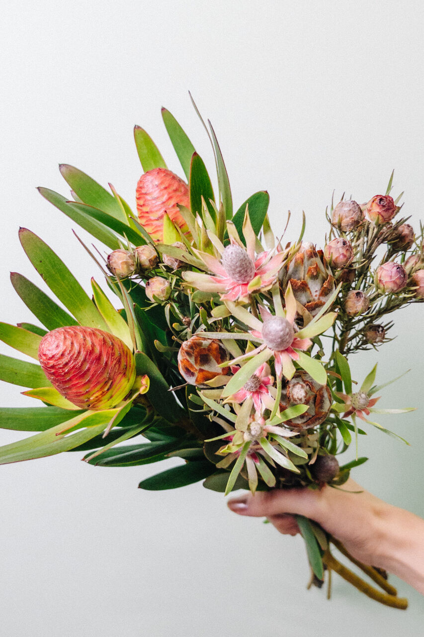 large_7f6cd287-4241-4b47-9439-