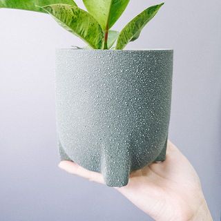 　手のひらサイズのポットです
