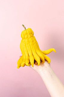 ☀【お正月飾り用仏手柑】 中上、小、極小 計10個お任せセット 杉っ子です small_b5bdd7f8-81cb-4329-a31c-
