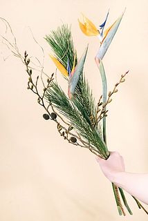 迎春アレンジ・ストレチア3点 ストレチア・リリーアレンジ | Flower Art Shop サエラ
