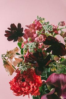 シックなチョコレートコスモスがポイント🍫