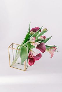 しなりを楽しんで✨