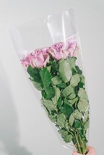 葉はついたままです。