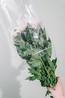 葉はついたままです。