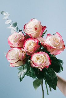 small_2a63efe8-edbd-4c43-868f-