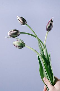 しなやかな動きを楽しんで　