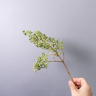 実は先端に付いていて枝がしなりやすくなっています。品質には問題ないのでご了承ください。