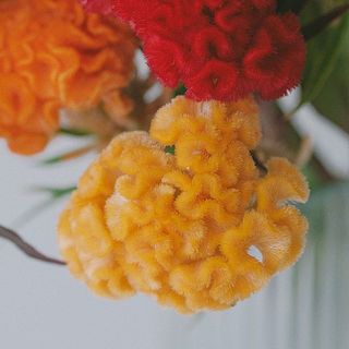 もこもこ質感がたまらない！ドライにも向いているので長く楽しめます。