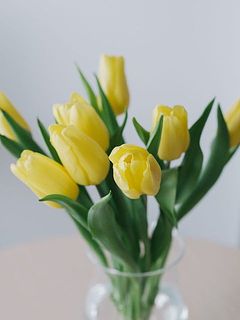 口が広がった花器なら、チューリップの伸びやかな茎を活かしてふわっと飾れます。