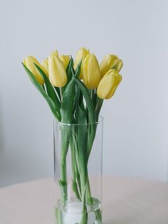 シリンダー型の花器は動きのあるチューリップをすっきりとまとめてくれます。