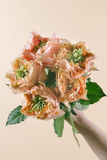 金田さんのバラ「フォセット」