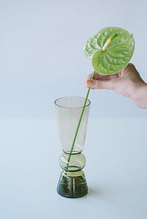 一輪でもいい感じ。