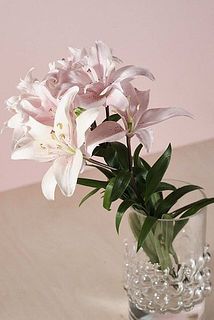 時間の経過とともに、少しづつ色が淡くなります。