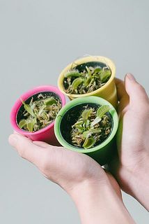 どれが届くかはお楽しみ😍