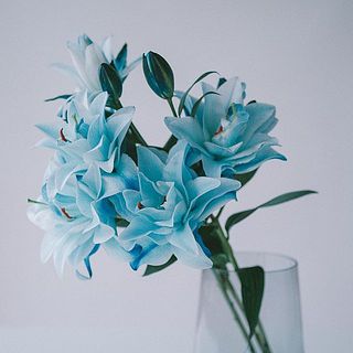 1本に2〜3輪ほどついていて、3本でもボリュームたっぷり。染料の影響で開花しづらそうだったら、外側の花びらを少し剥いてあげると開花します。咲き終わった花は取り除いてあげると、つぼみが咲きやすくなります。