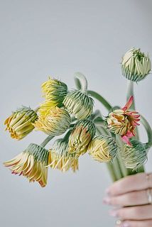 small_5e0e7a39-4433-47f0-87b6-