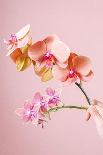 small_64f53034-61fe-48dd-9add-
