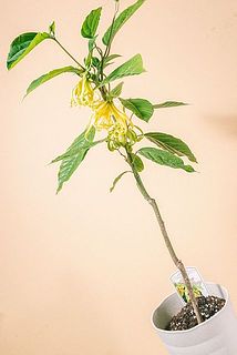 small_1a19dc5d-3479-42d6-87ed-