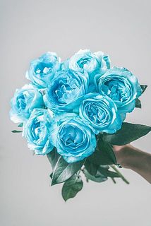 small_1bdfcba9-b48b-4d3f-a8a8-