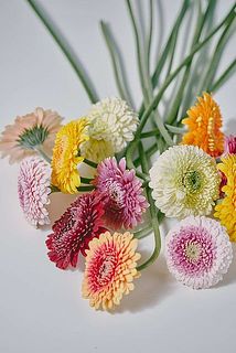 small_29143757-9455-4700-84b4-