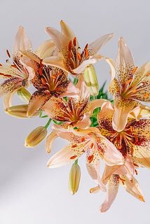 small_e14c94c4-db9a-46b3-8707-