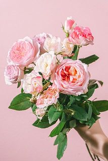 薔薇のロマッティックシェルフS ピンク W40D20H50cmマニーイマン好き向 楽天市場】マニー Many ロンドローズ マグカップ 薔薇 ローズ 花柄