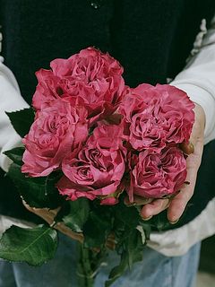 small_636f7b0d-7db1-4db8-9e9d-