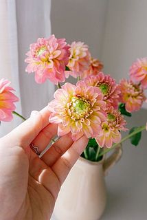 かわいい手のひらサイズ