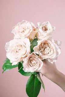 開花が楽しみ！