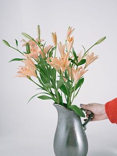 ブラックの花器と合わせてコントラストを楽しむのもおすすめ。使用花器：Calore（ブラック）