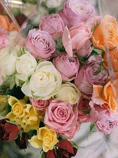 お届け例。中には希少な品種も。