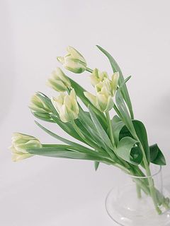 高さが低めの花器がおすすめです。