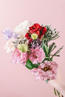 お届け例（内容は毎回異なります）