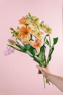 お届け例（内容は毎回異なります）