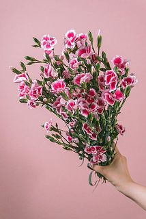 「ソネット・フレーズ」