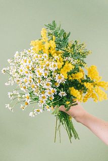 お届けイメージ