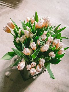 このボリューム感でお届け！