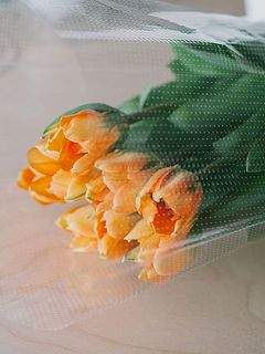 8本セットでお届けします。