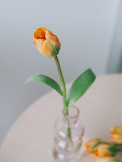 一輪挿しに分けて飾っても🙆‍♀️