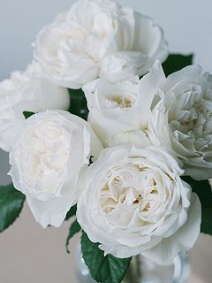 ボリュームたっぷり。