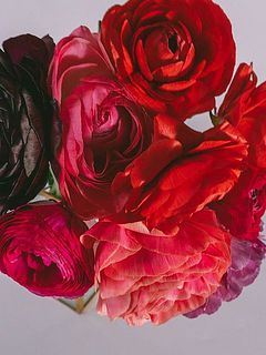 ベリカラーがかわいい🍓