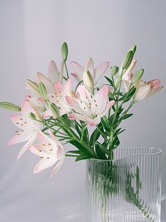 使用花器：ウェーブ