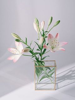 2本入れたイメージ。使用花器：絵画のように花を楽しむ花器