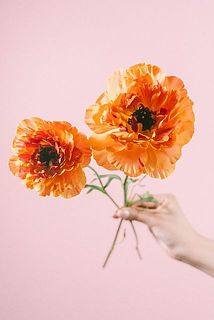 大きさには個体差がございます。