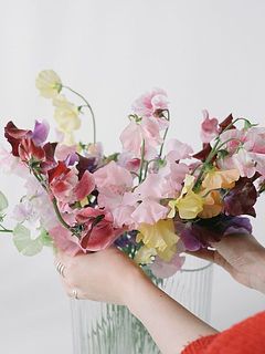 ふわっと飾るのがコツ。