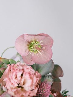 ブーケの主役、クリスマスローズ。