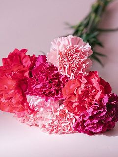 たっぷり10本お届け。